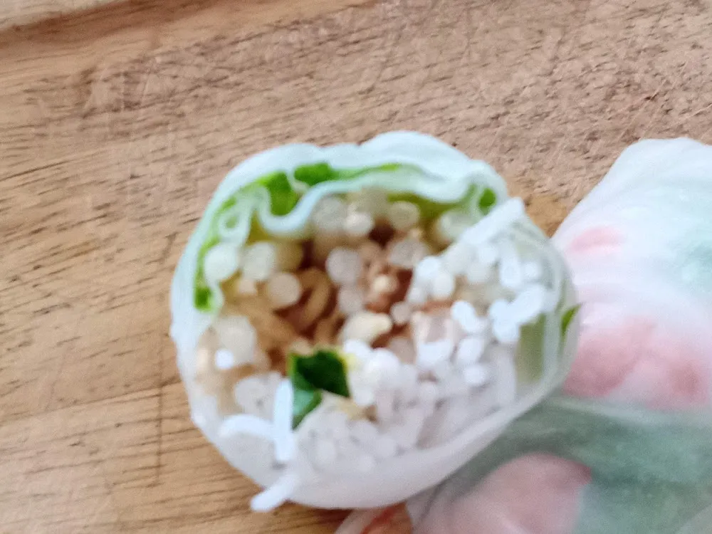 Rouleau de Printemps Mais Non Frais Immengea Le